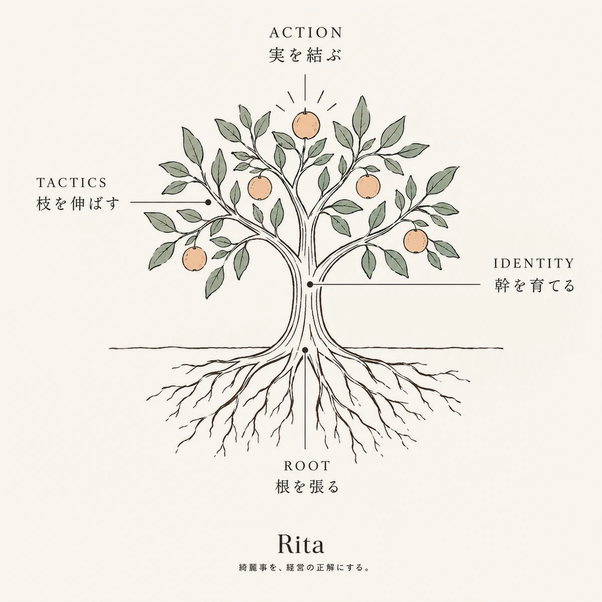 Ritaの4つの階層を一本の樹で表した図。ROOT=根を張る、IDENTITY=幹を育てる、TACTICS=枝を伸ばす、ACTION=実を結ぶ。